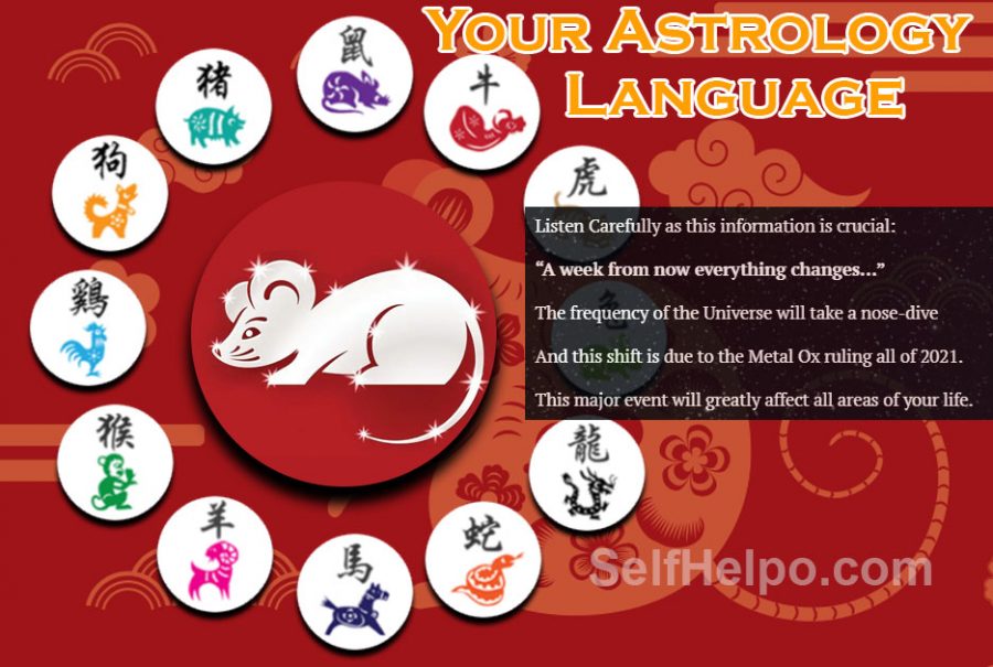 Your Astrology Language Metal Rat